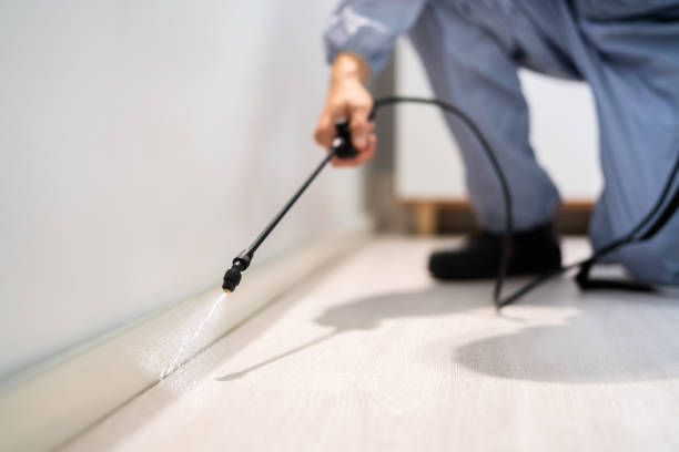 Licensed Termite Control service in Nashville, TN - Nex Pest Control