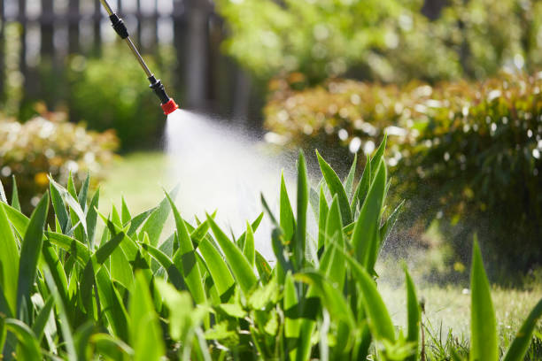 24/7 Emergency Termite Control experts in Nashville, TN