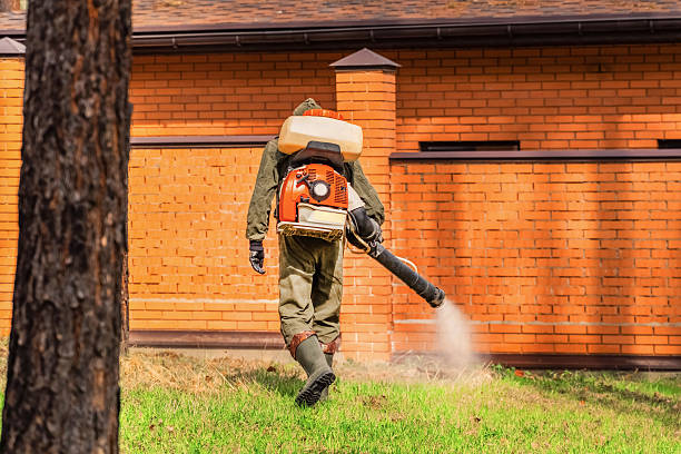 Trusted Termite Control service in Nashville, TN - Nex Pest Control